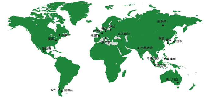 International market(图1)